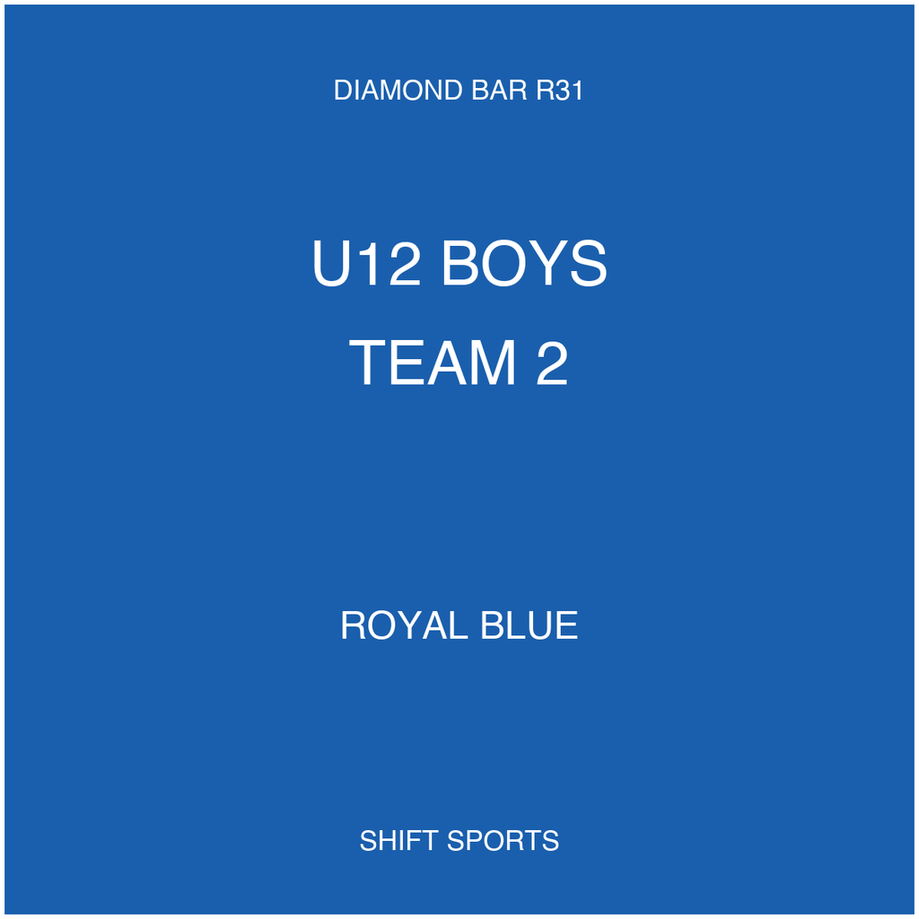 AYSO 31 — U12 Boys Team 2 — Royal Blue — Game Kit