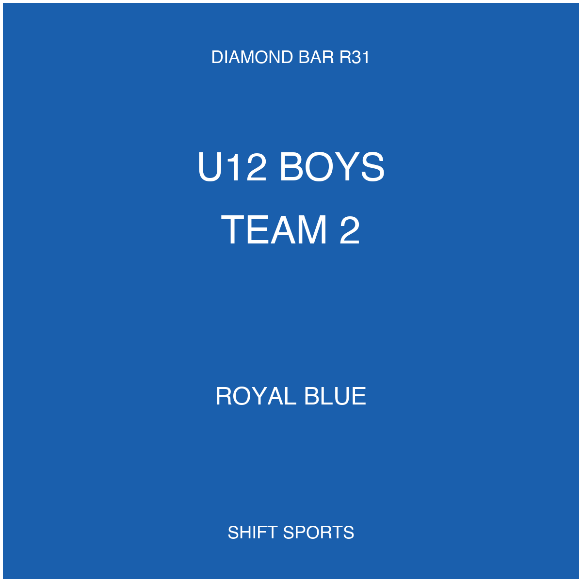 AYSO 31 — U12 Boys Team 2 — Royal Blue — Game Kit