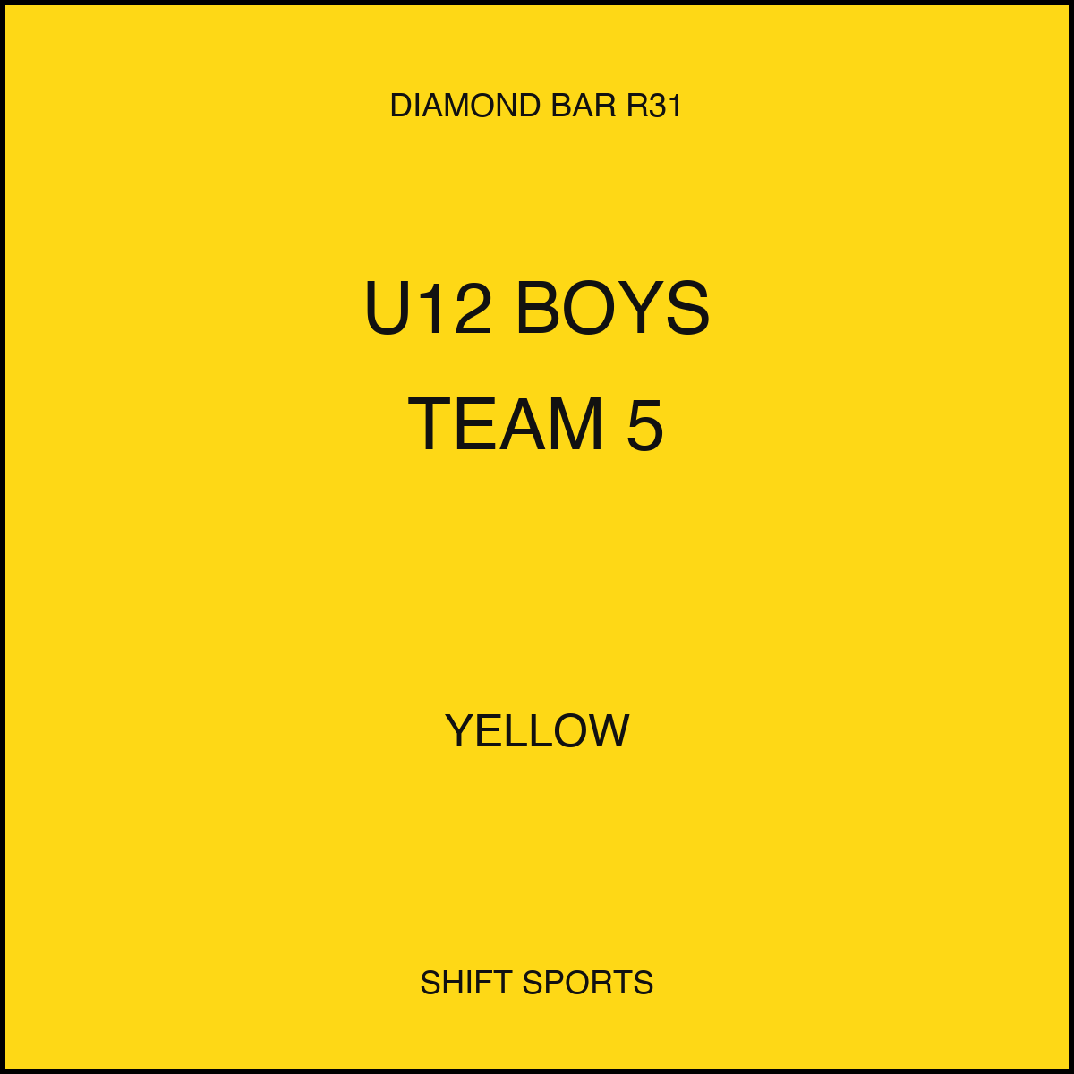 AYSO 31 — U12 Boys Team 5 — Yellow — Game Kit