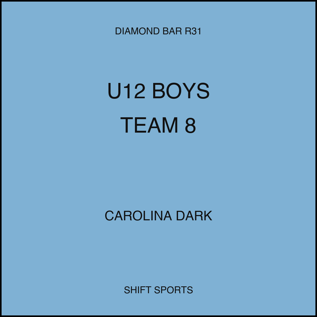 AYSO 31 — U12 Boys Team 8 — Carolina Dark — Game Kit