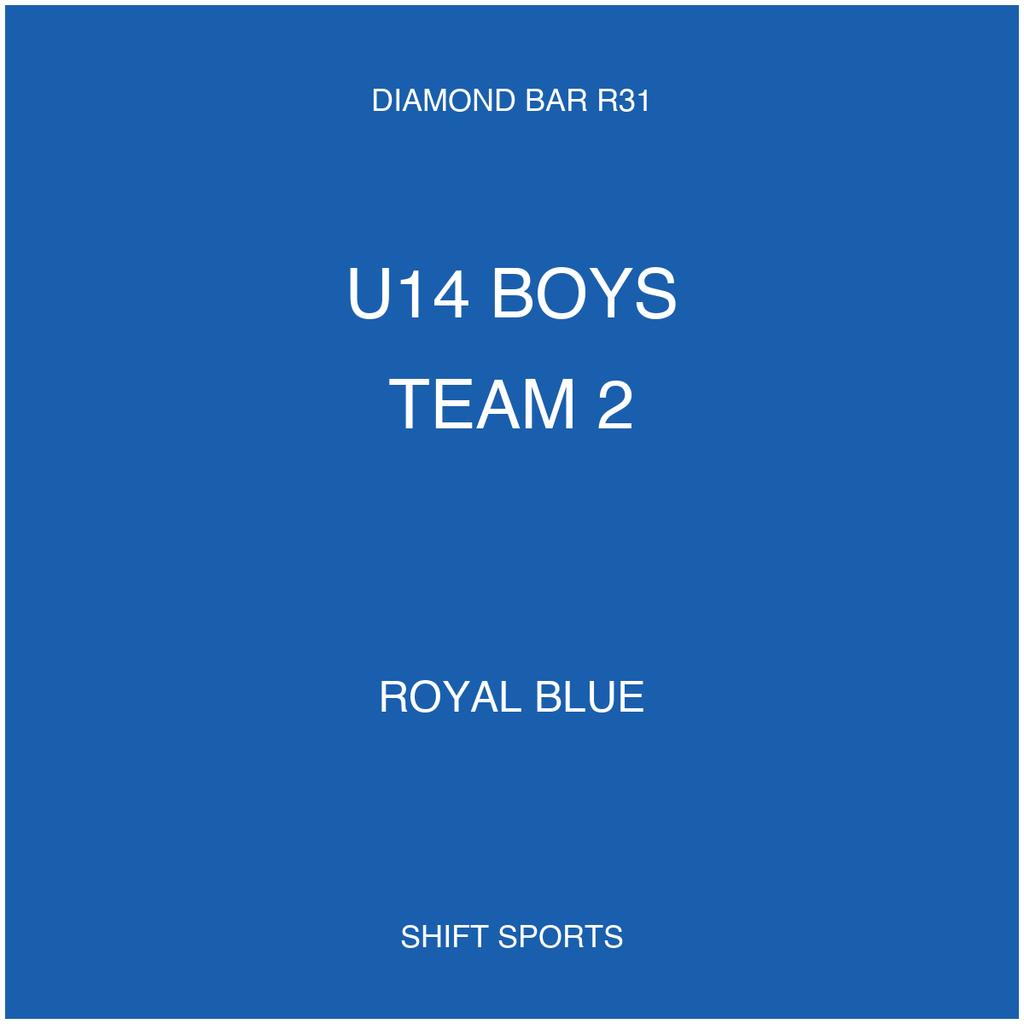 AYSO 31 — U14 Boys Team 2 — Royal Blue — Game Kit