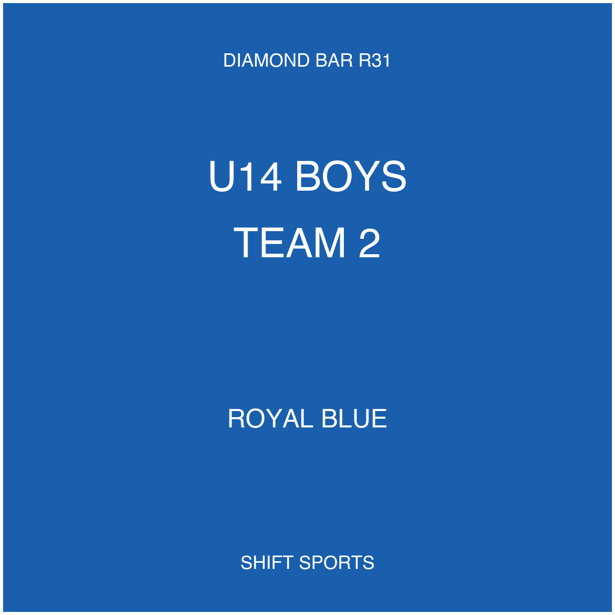AYSO 31 — U14 Boys Team 2 — Royal Blue — Game Kit