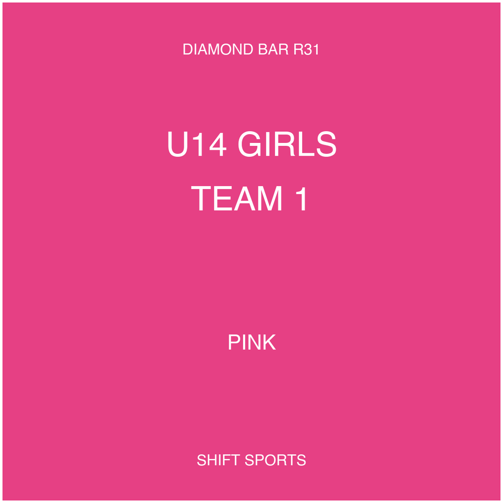 AYSO 31 — U14 Girls Team 1 — Pink — Game Kit