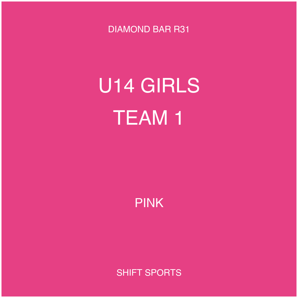 AYSO 31 — U14 Girls Team 1 — Pink — Game Kit